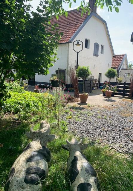 Atelier Onder De Notenboom Appeltern Zewnętrze zdjęcie